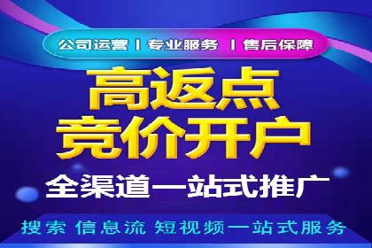 百度竞价广告投放策略：案例分析及效果评估